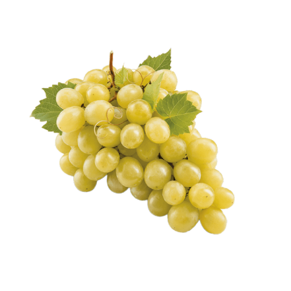 عنب